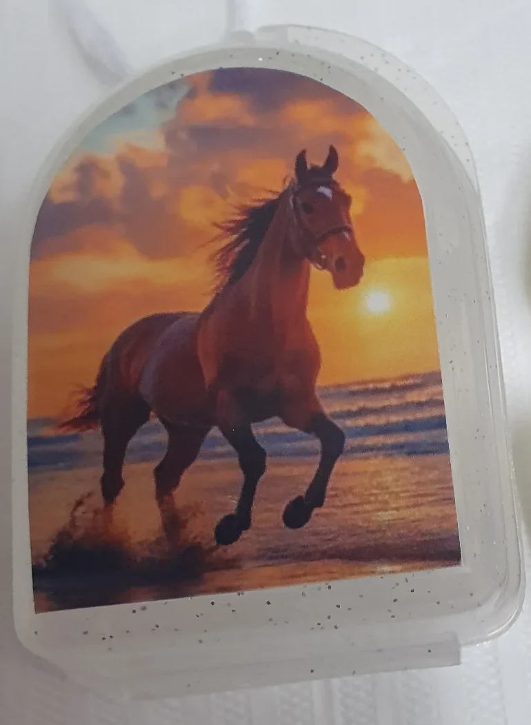 Estojo de aparelho com a foto de um cavalo correndo na praia ao pôr do sol
